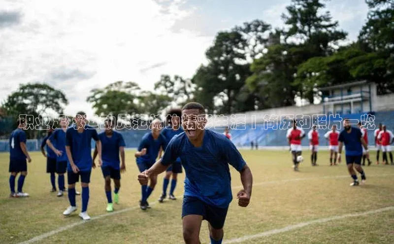 谈球吧网页登录百度Apollo