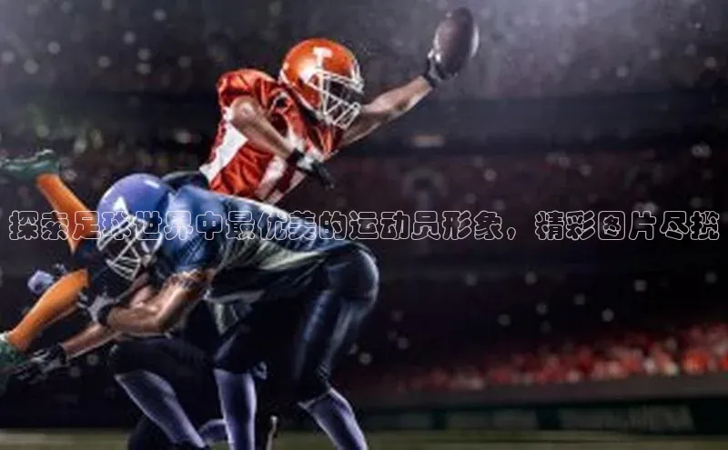 谈球吧(中国)官方网站阿里尔公司