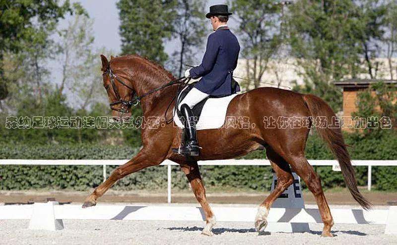 谈球吧官网入口巴美列捷福