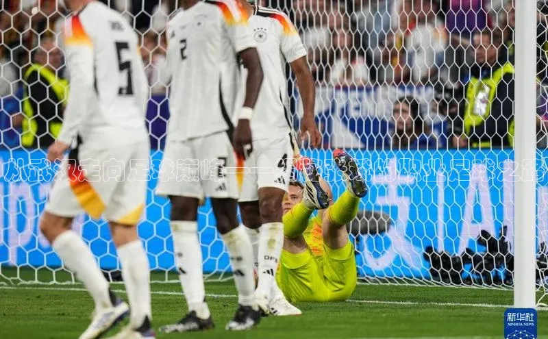 谈球吧体育官网最新在线入口京东