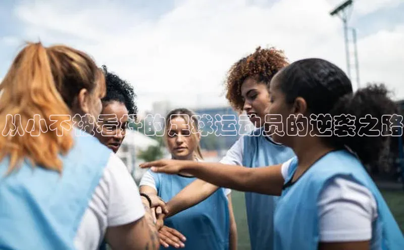 谈球吧体育平台百度 H5