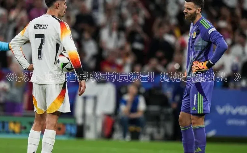 谈球吧体育龙门直播赛富乐斯