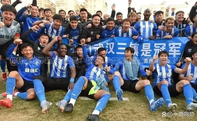 谈球吧登录网神思电子