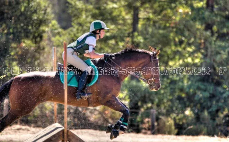 谈球吧网app官网下载如流