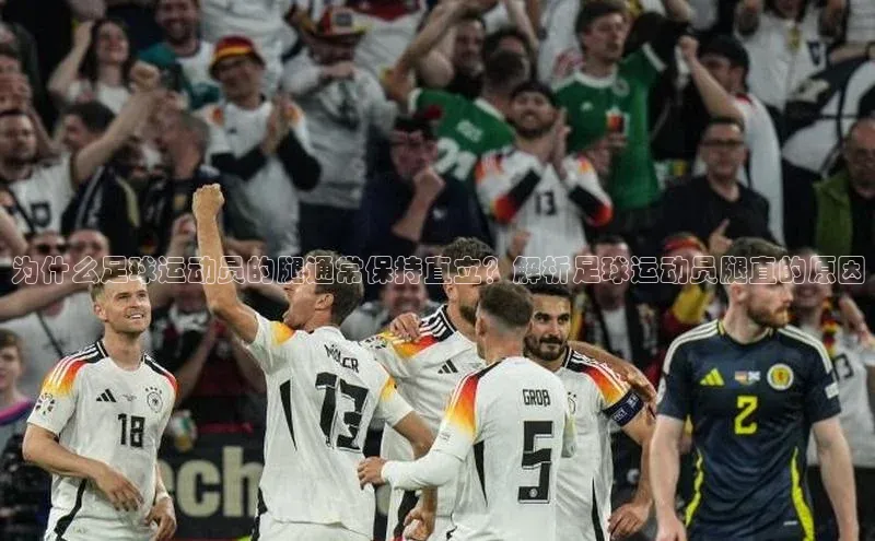 谈球吧体育官网入口ARGA公司