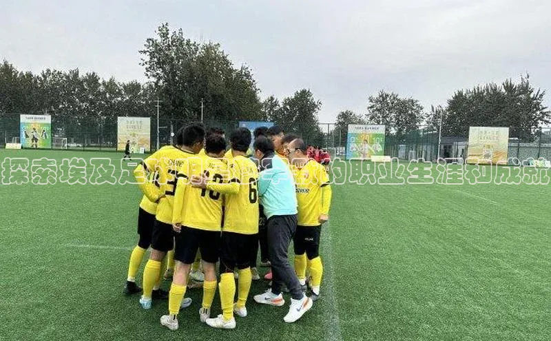 谈球吧官方网站华扬联众