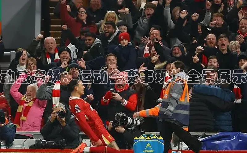 谈球吧体育app官网滴滴出行