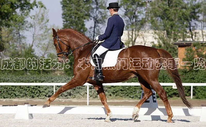 谈球吧网页版在线入口