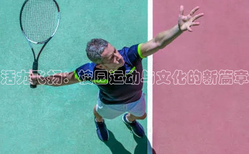 谈球吧体育官网入口