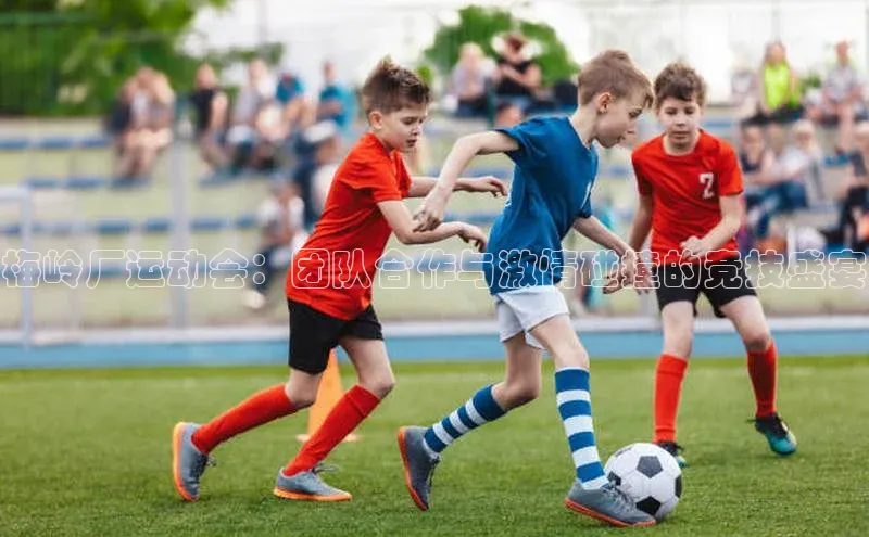 谈球吧网页登录